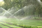 Clare NSWlandscaping-water-management-and-drainage-17.jpg; ?>